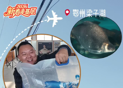 新春走基层｜一条武昌鱼的20小时“进京记”