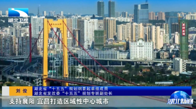 解读湖北“十五五”规划纲要丨强核 壮圈 联群 湖北的“十五五”有广度