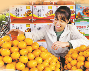 新春走基层 | 柿红羊欢、山货出山、冰雪经济……来看黄冈的蓬勃生机