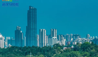 “造血”与“共治” 探寻城市更新的“内生之路”