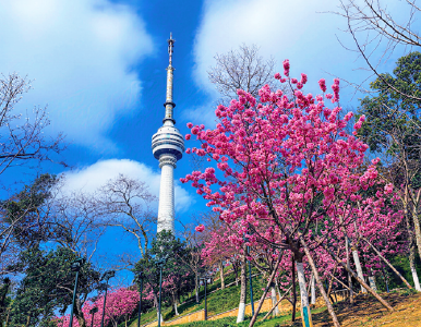 AI上春天 从这幅穿越四百年的画开始