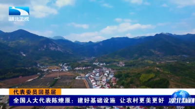 代表委员回基层