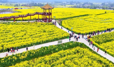 花开富贵誉荆楚——荆门“一枝花”工程绘就高质量发展新图景
