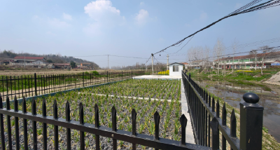 美丽乡村画卷向“处处美”铺展