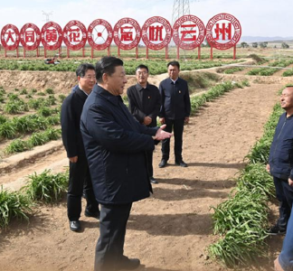 习语丨从小黄花到小龙虾，总书记为何关注这些“小产品”？