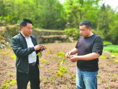 “一叶轻舟”万重山