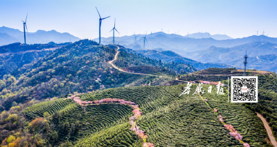 注入新动能！这两个“超级绿色充电宝”落户大悟→