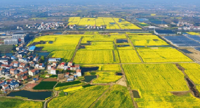 孝南：“永高一体化”激活现代农业新动能