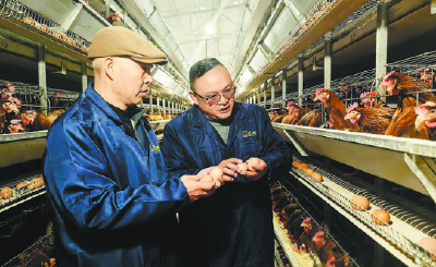 五十六家企业“扎堆”落户雷家坪