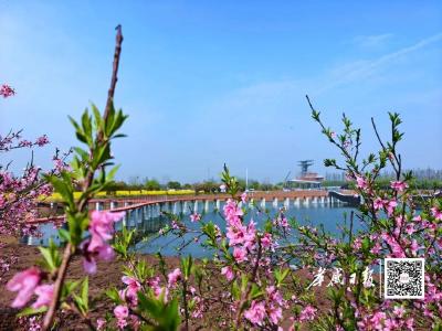 孝感这个湿地公园，“颜值”刷新！