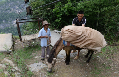 从“索道运茶”到“云端卖茶”的变迁