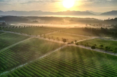 中部崛起，湖北靠什么担重任？