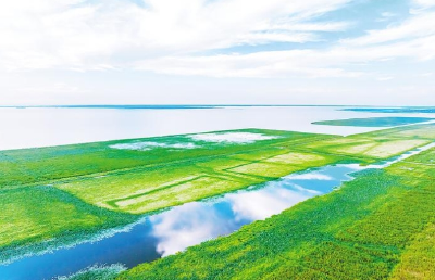 锚定保Ⅳ争Ⅲ 洪湖“浪打浪”气象新