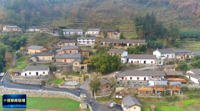 十堰“淘宝村”来了AI助手