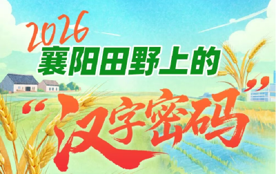 省委一号文件落地襄阳，在田野上“长”出了八个汉字