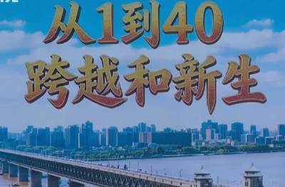 从1到40 跨越和新生丨湖北第40座长江大桥来了！