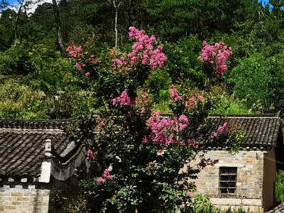 二十桶山泉，流淌的是什么？