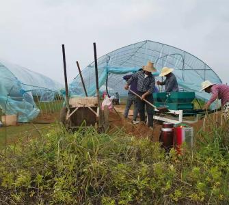 一句“不走了”，改写千亩荒地命运！