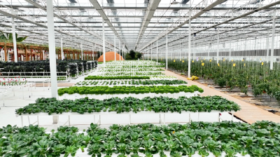 住进智能房 喝上营养水 孝昌春管有点“酷”