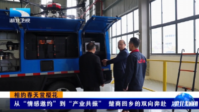 相约春天赏樱花 | 从“情感邀约”到“产业共振”  楚商回乡的双向奔赴