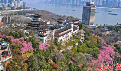 武汉这场大会，有三个不同！让长江中游的美好被世界看见