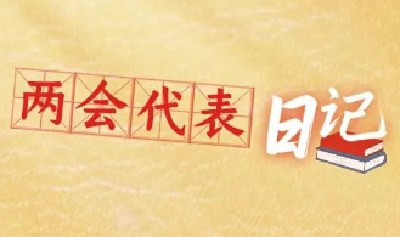 爆火出圈！4名在襄全国人大代表日记公开！