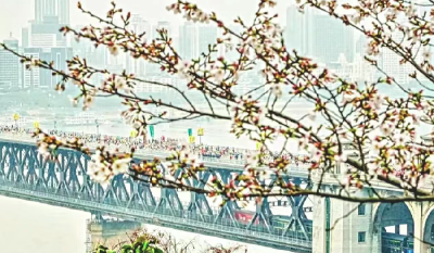 从“客场”到“主场”，读懂武汉文旅“朋友圈”扩容背后的经济逻辑