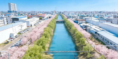 乡村蝶变入画来——汉川市西江乡奋力推进“万树村”建设见闻