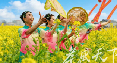 花海里的“致富经”，汉川解锁乡村振兴“赏花密码”