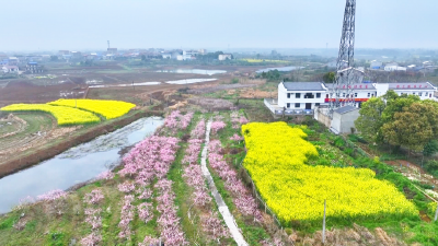 孝昌邹岗：“户长”上线  解锁乡村和美“新密码”