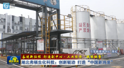 冲刺年销破亿！孝感 “小巨人”打造 “中国新纯度”→