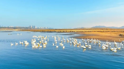 这八篇文章，写在“立规之地”