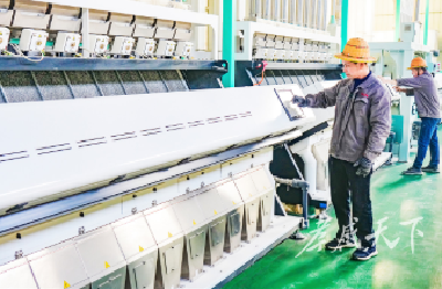 大地米业：一粒米的“蝶变”