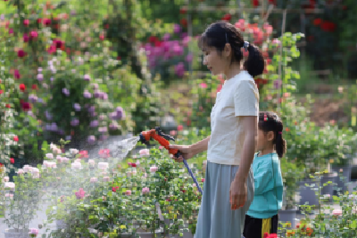 孝昌90后妈妈：10亩荒地，种出“梦想花园”