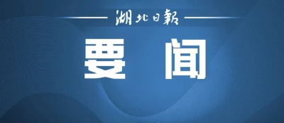王忠林会见参加2026年世界大健康博览会企业家代表 携手推动大健康产业发展 为加快建设健康中国贡献力量