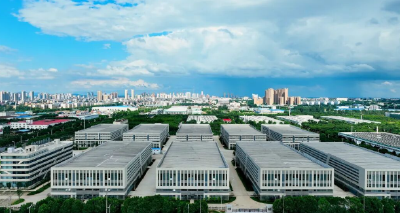 “追”了四年，“宠”出一个产业集群