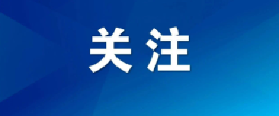 东湖观澜丨义乌的“真经”是什么？