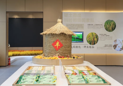 太空舱、峒山稻、出海梦……鄂城这个基地火了！