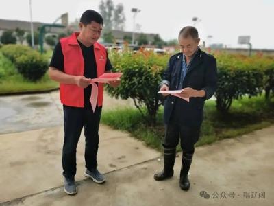 “劲松”矗立在春天