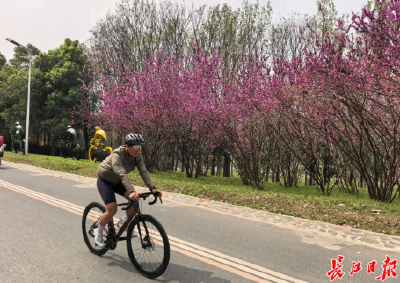 城市密码 | 你知道汉口怎么“长大”的吗？答案就在这条堤上