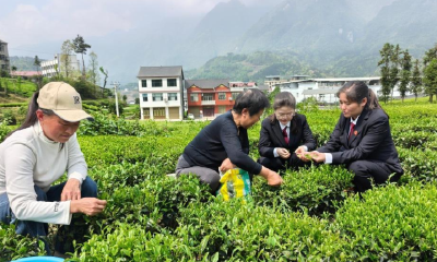 大山深处的“三道茶”——鹤峰县铁炉人民法庭矛盾纠纷化解民族特色实践