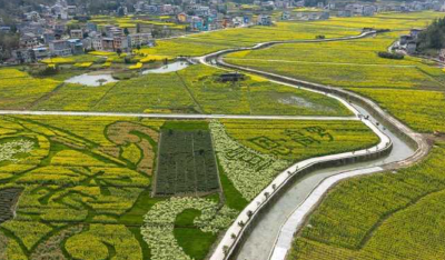 花开山野“三重奏”——宣恩花海经济背后的“美丽账本”