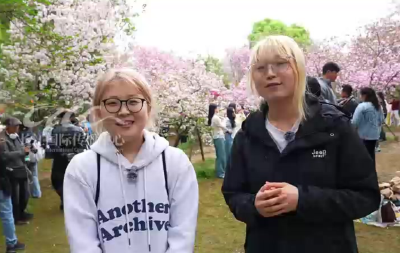 世界赏樱地图正在被改写：这座中国城市，成了老外心中“性价比之王”！