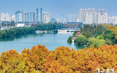 “小食堂”撬动“大民生”丨社区食堂守护幸福“食”光