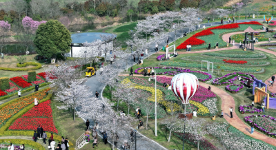 甜度拉满！米酒寻味+花海露营+威亚实景，孝南五一文旅大餐上新