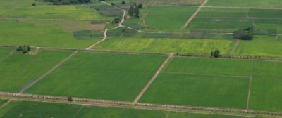 从“补丁地”到“千亩方”，湖北孝南这片土地何以重生？