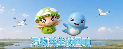 从稀客变为常客到家人，江豚已成长江生态“晴雨表”