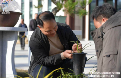 无名幽兰何以成“金”？ ——罗田“无中生有”的县域实践与启示