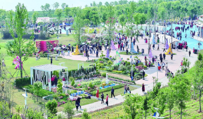 花漾都市圈 绿美新生活 2026年武汉都市圈花展孝感分会场盛装迎客