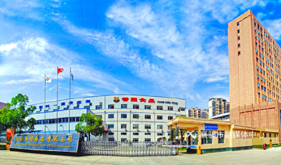游子返乡引来12家企业！一粒“种子”在老河口长成28亿产业森林